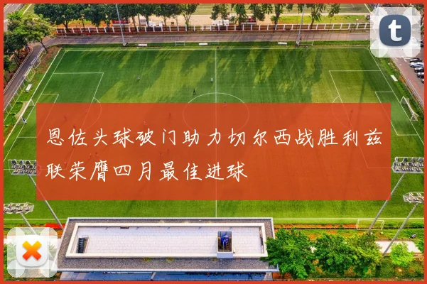 恩佐头球破门助力切尔西战胜利兹联荣膺四月最佳进球